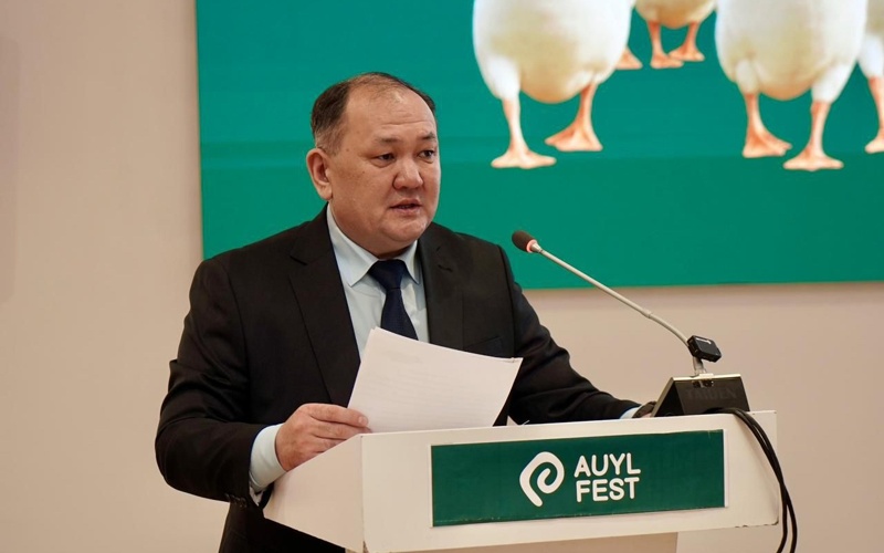В&nbsp;СКО стартовал II&nbsp;Международный тюркский этнокультурный фестиваль &laquo;AUYL FEST. Гусеводство&nbsp;&mdash; 2026&raquo;