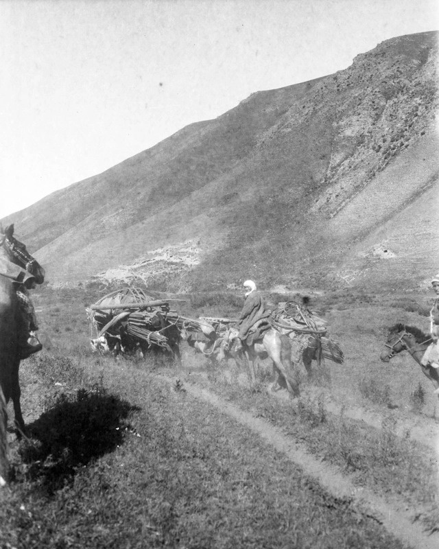 哈通社获授权发布：哈佛大学博物馆公开1927年哈萨克草原珍贵影像