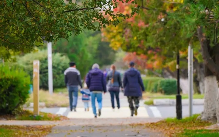 люди, природа, парк, осень