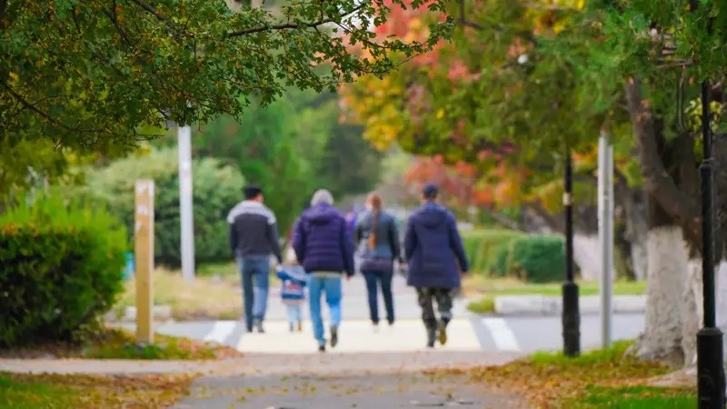 паркда паркда