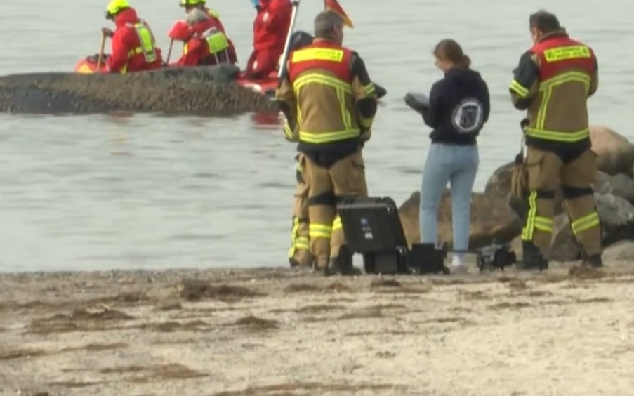 Германия жағалауында өркешті кит қайраңда қалып қойды