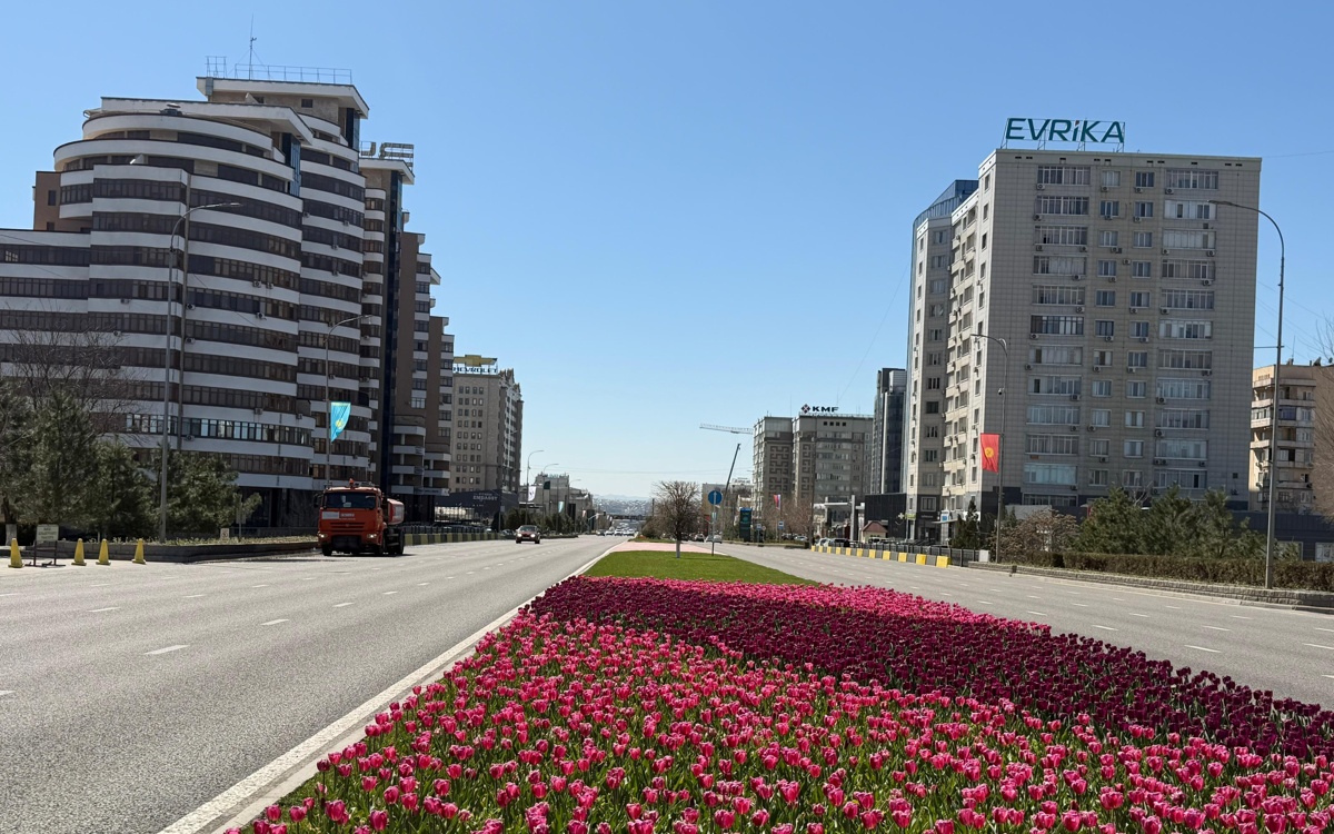 Шымкентте 26-27 наурызда бірқатар жолда көлік қозғалысы шектеледі