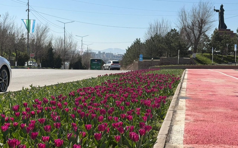 дороги в Шымкенте дороги шымкент