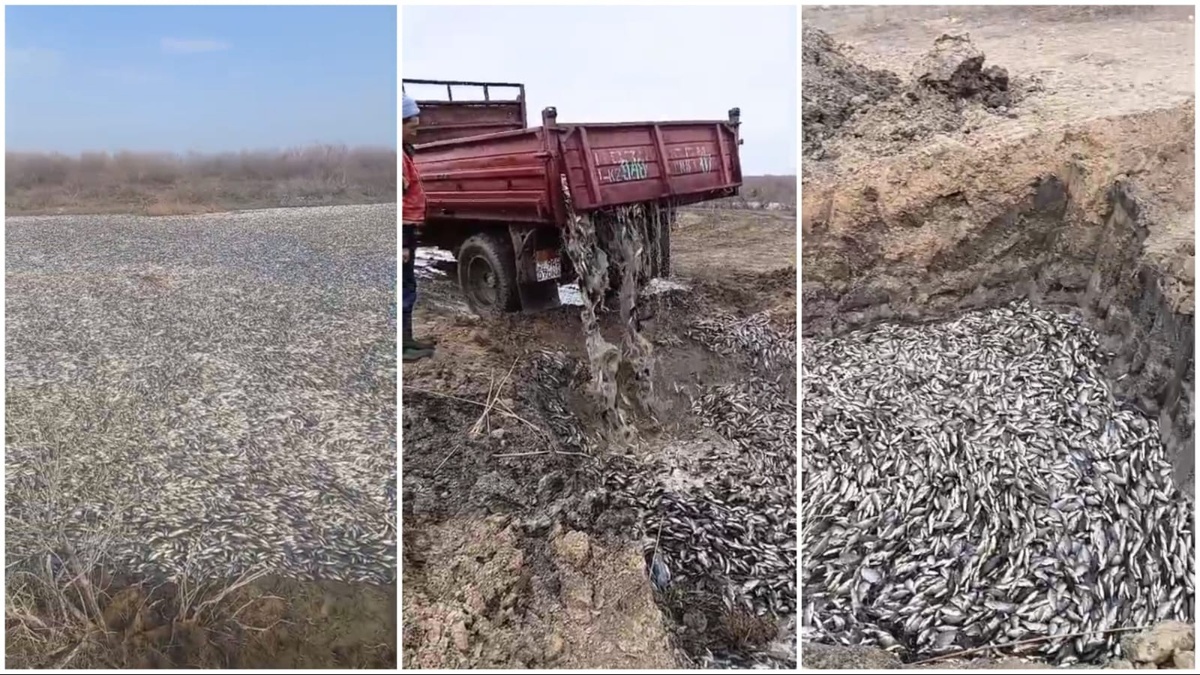 БҚО-да балық қырылған көлде тазалау жұмыстары жүргізіліп жатыр