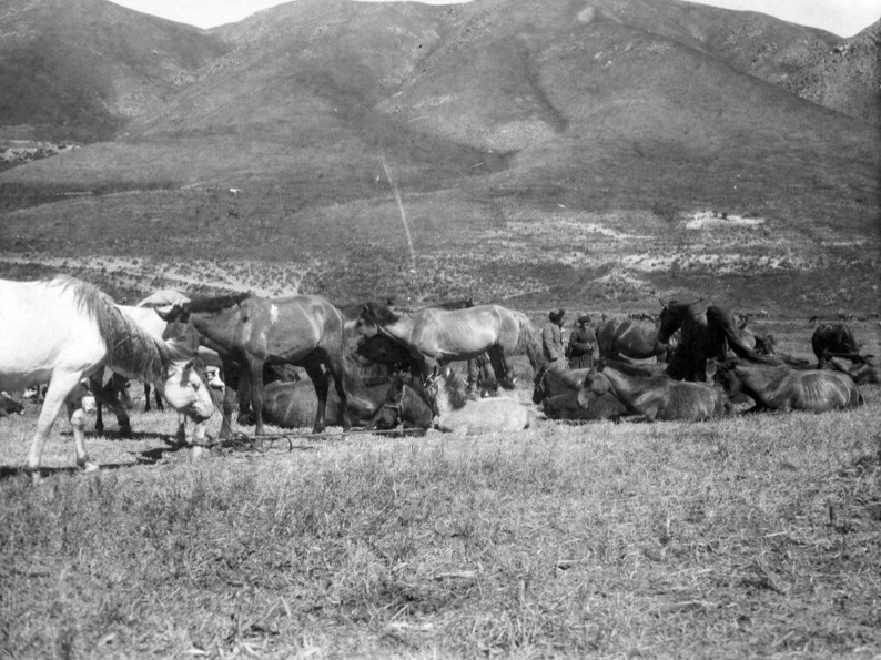 Редкие фотографии 1927 года показывают жизнь казахской степи