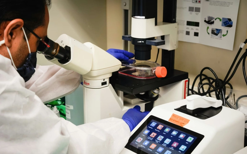 From trash to treasure: Fish waste becomes health product in Thailand