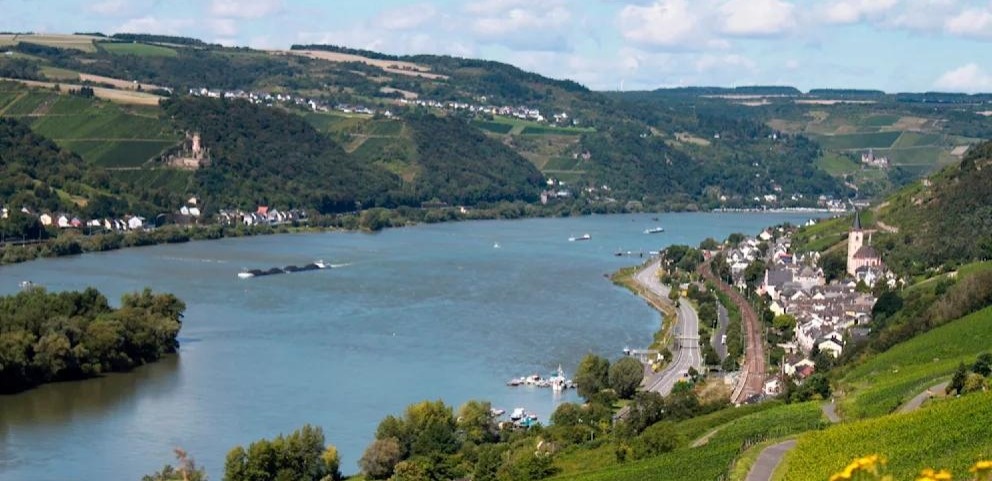 Еуропарламент қатерлі ісік қаупіне байланысты химиялық заттарға жаңа шектеуді мақұлдады