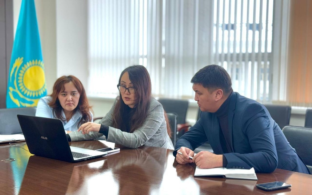 Мемлекет цифрлық жобаларға отандық IT-компанияларды тартып жатыр