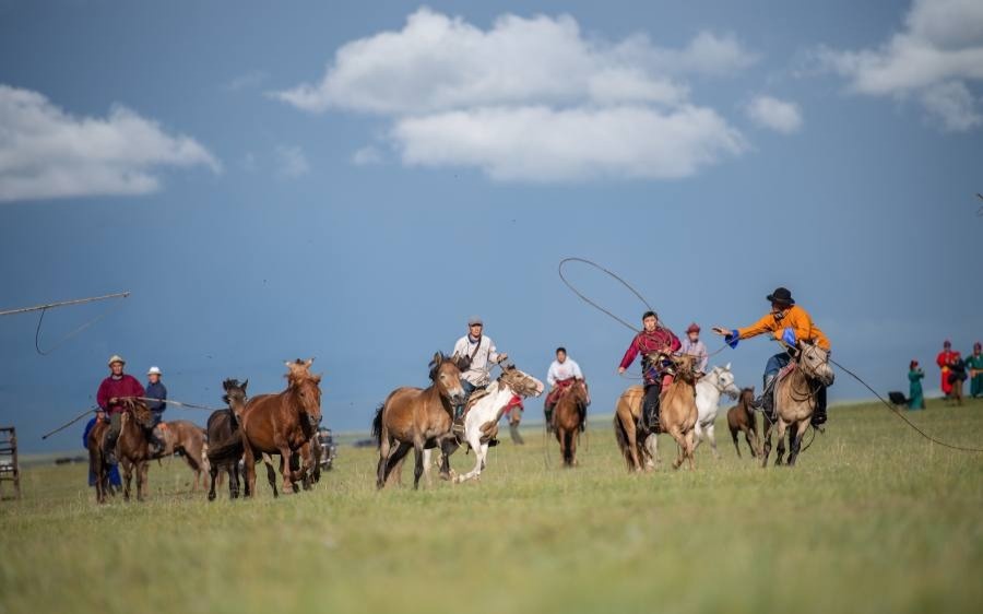 56 countries join UN Resolution on World Horse Day initiated by Mongolia’s President