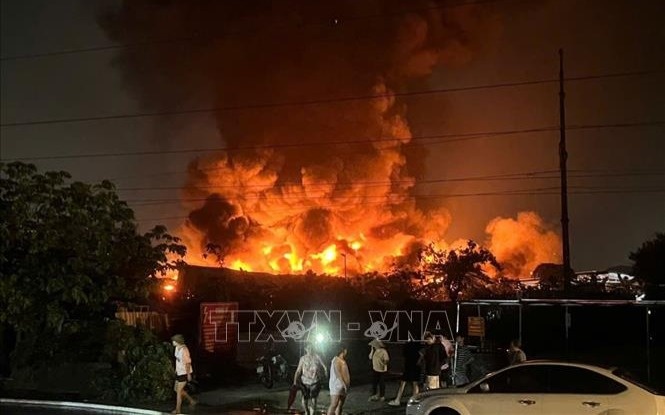 Вьетнамда ағаш өңдеу зауыты алапат  өртке оранды