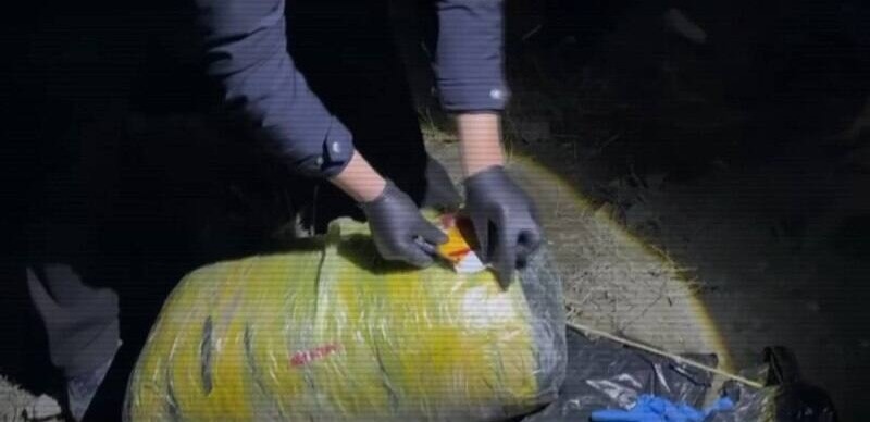 Ұлытау облысында ірі есірткі жеткізу арнасы жойылды