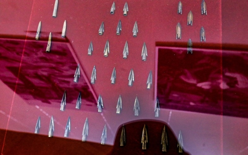 Алматыда бірегей археологиялық жәдігерлер көрсетілді