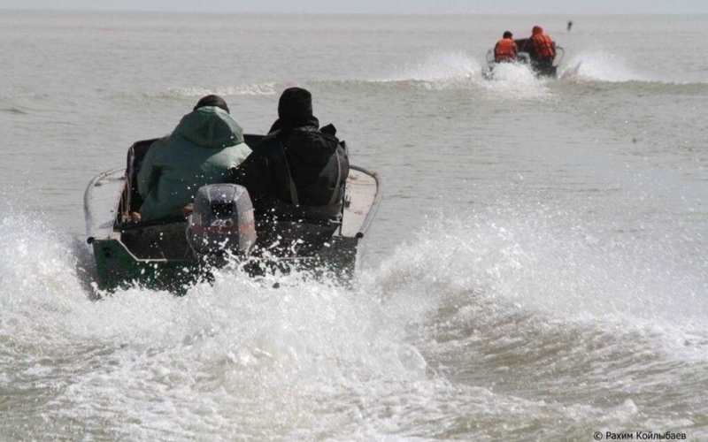 &laquo;Бекіре-2026&raquo;, рыба, браконьеры