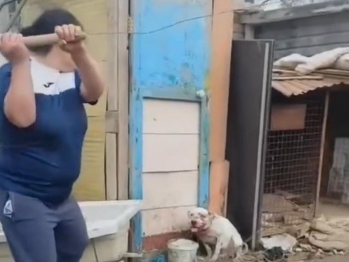 в