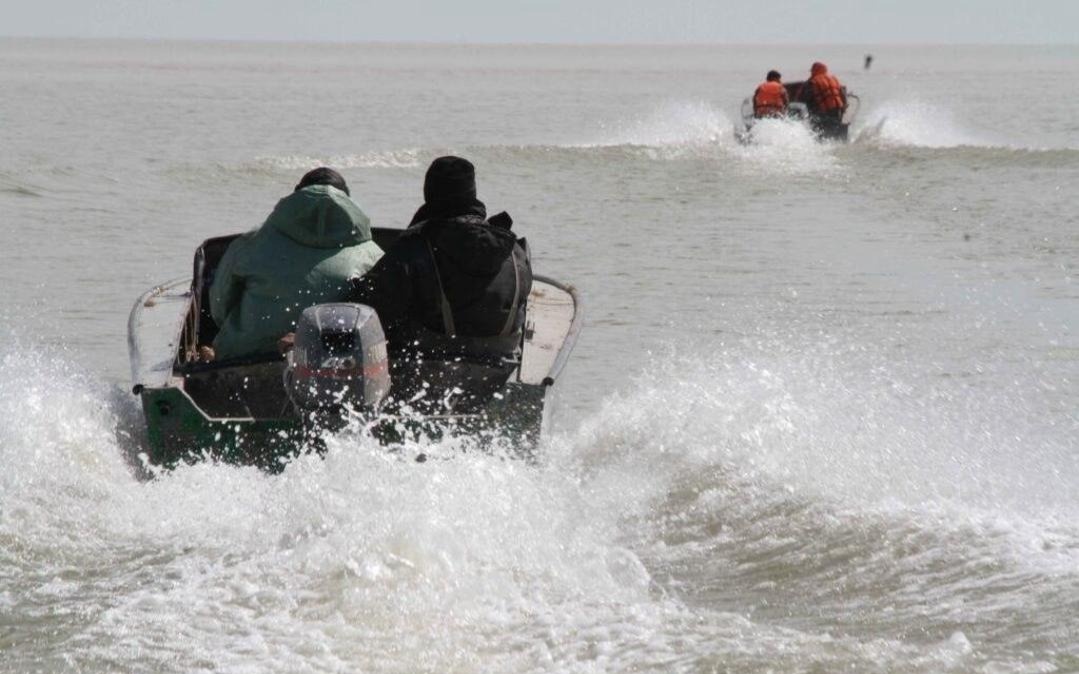 Қазақстанда «Бекіре-2026» балық қорғау акциясы басталды