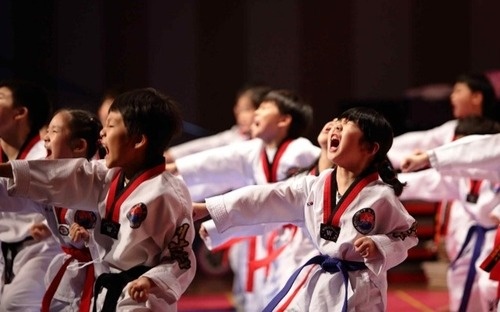 South Korea seeks UNESCO heritage status for ginseng, taekwondo traditions 
