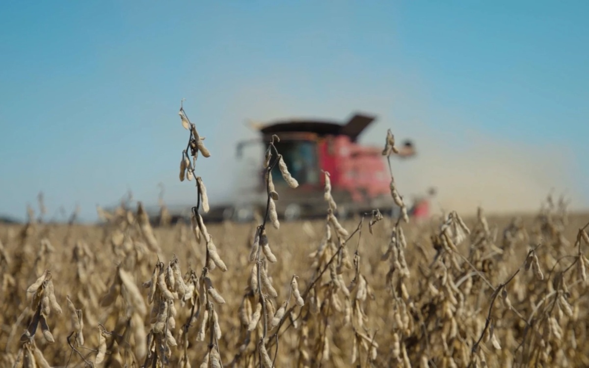 АҚШ-та ауыл шаруашылығы дағдарысы қаупі күшейді