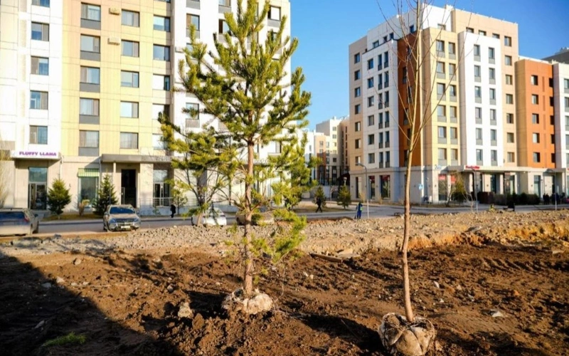 Around one million trees and shrubs to be planted in Astana