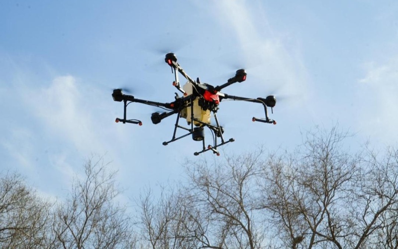 Елордада маса мен шіркейге қарсы күрес жұмысы қалай өтеді