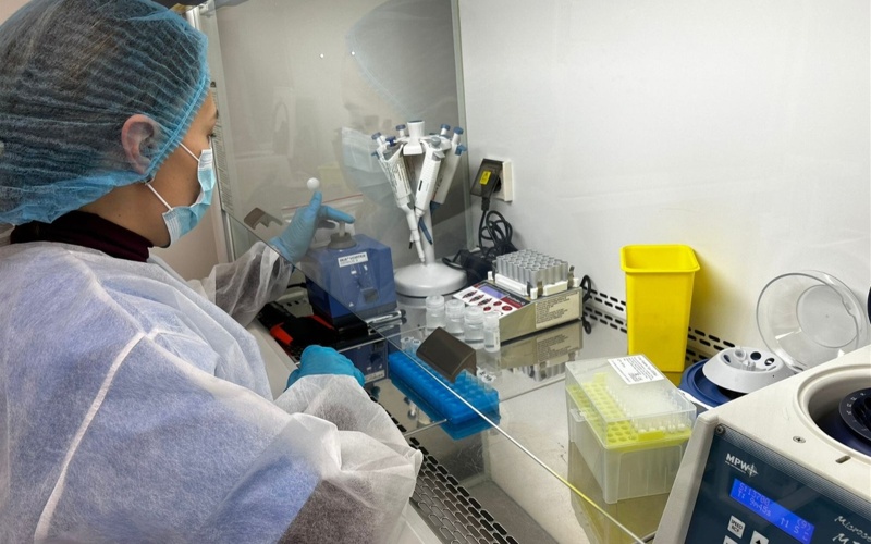 ПЦР против аллергенов: как проверяют безопасность продуктов в Казахстане ПЦР против аллергенов: как проверяют безопасность продуктов в Казахстане