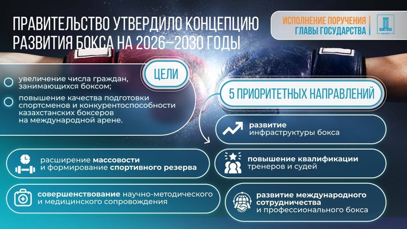 концепция развития бокса 