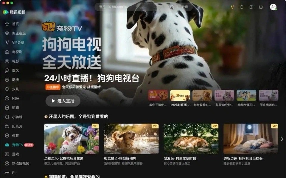 Қытайда үй жануарларына арналған телеарна іске қосылды