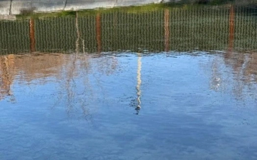 Another child drowns in Turkistan region