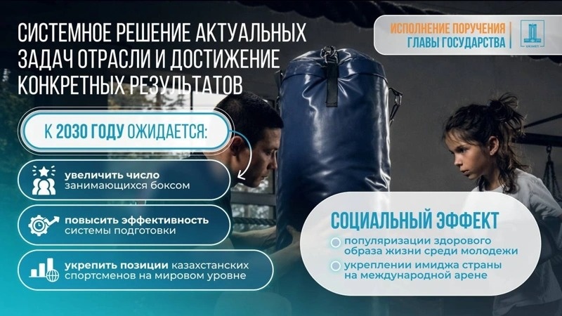 Kazakhstan approves boxing development concept for 2026&ndash;2030