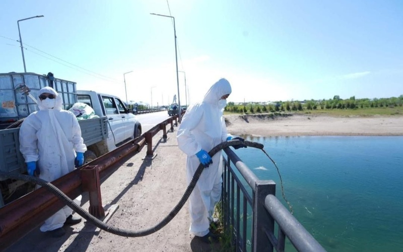 о