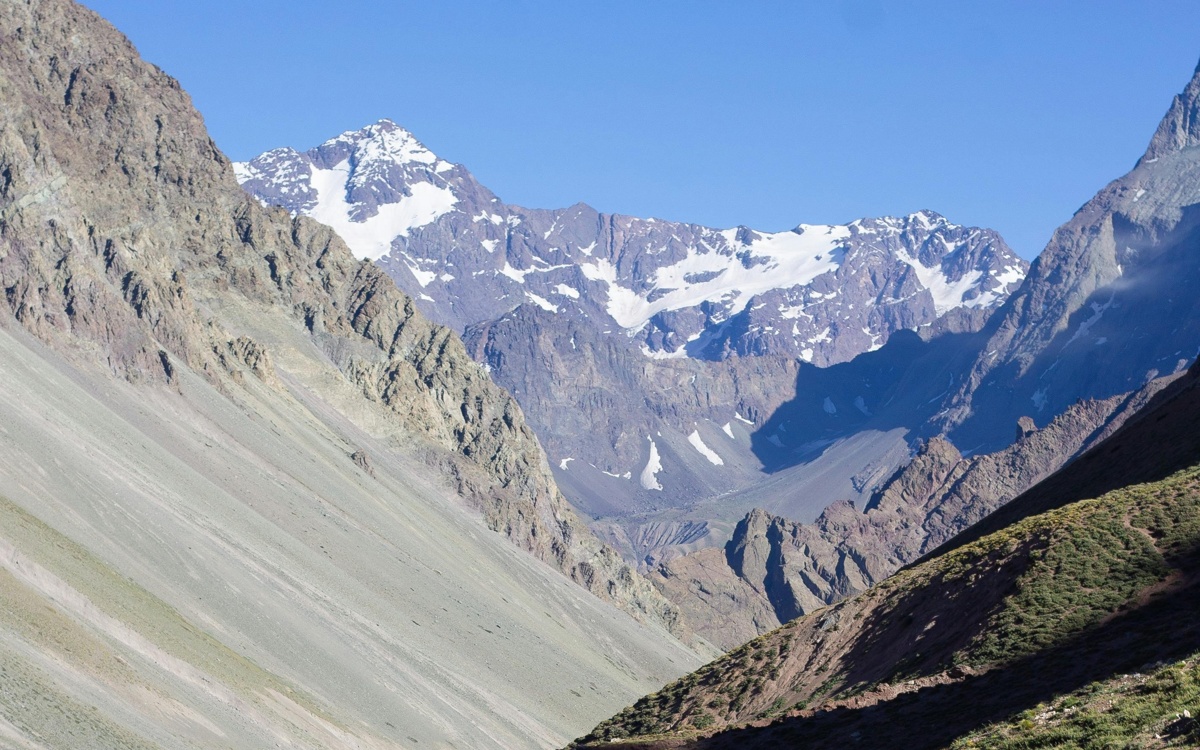 Chilean researchers discover new plant species in Andes