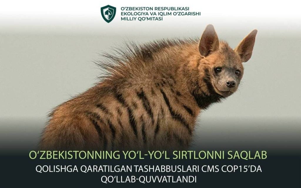 Striped hyena added to Convention on Migratory Species