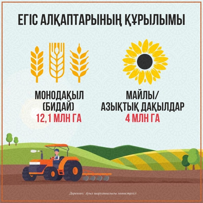 инфографика инфографика