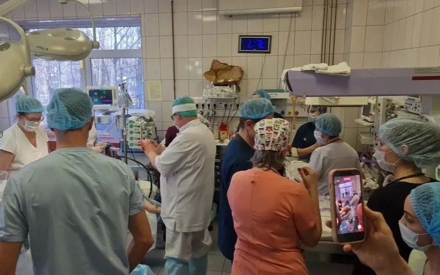 Ресейде алғаш рет біржұмыртқалы төртем дүниеге келді