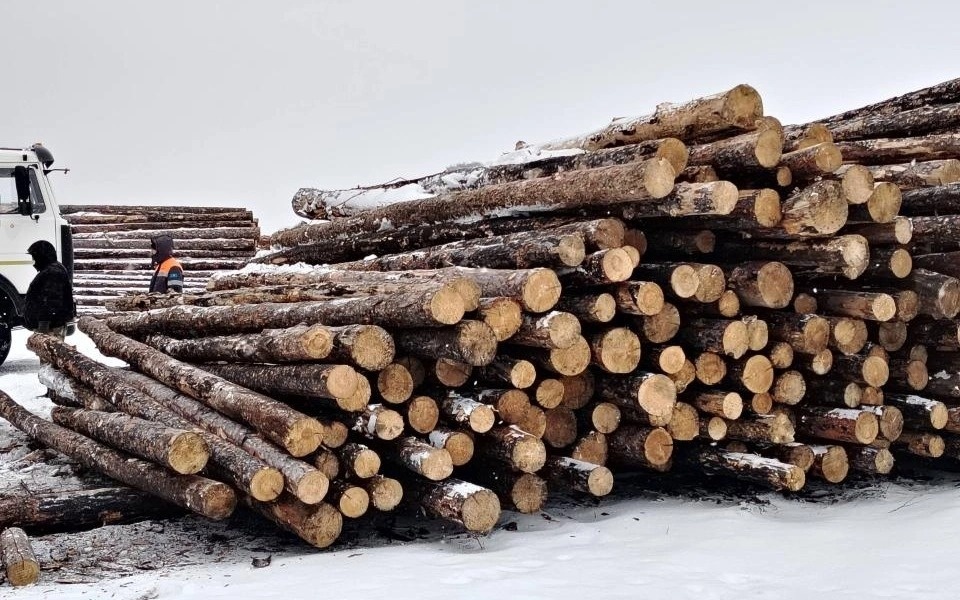 Timber processing plant to be set up in N Kazakhstan
