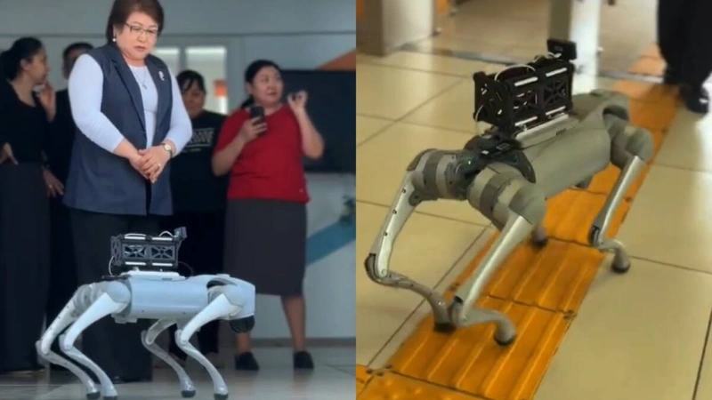 robot