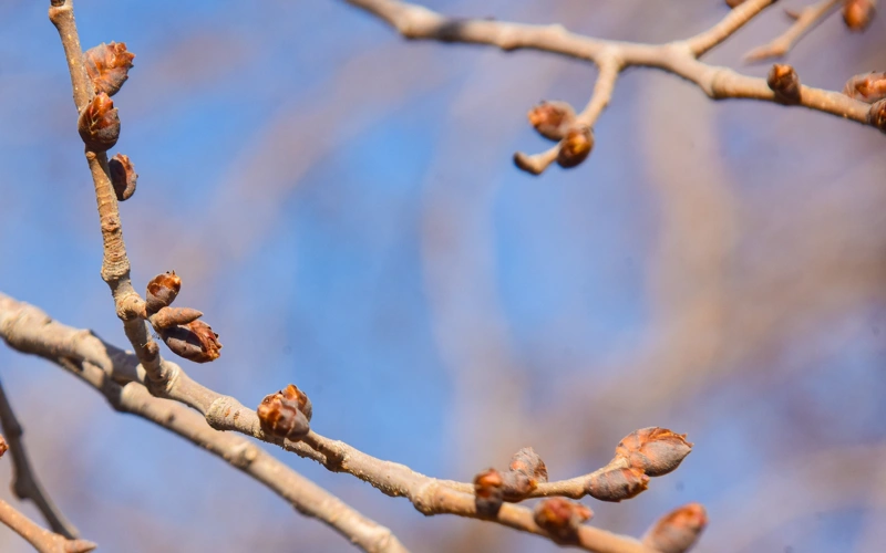 Kazakhstan weather forecast for Apr 21