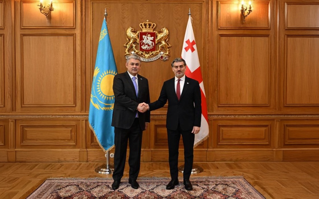 Kazakh Foreign Minister holds meeting with Georgian President