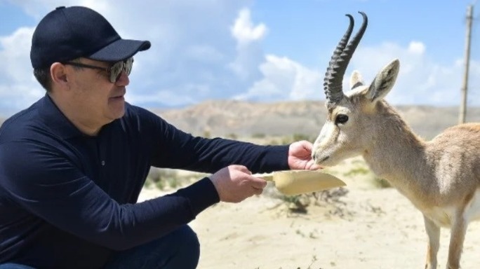 Қырғызстанда жабайы жануарларды ұстау және өсіру қағидалары бекітілді