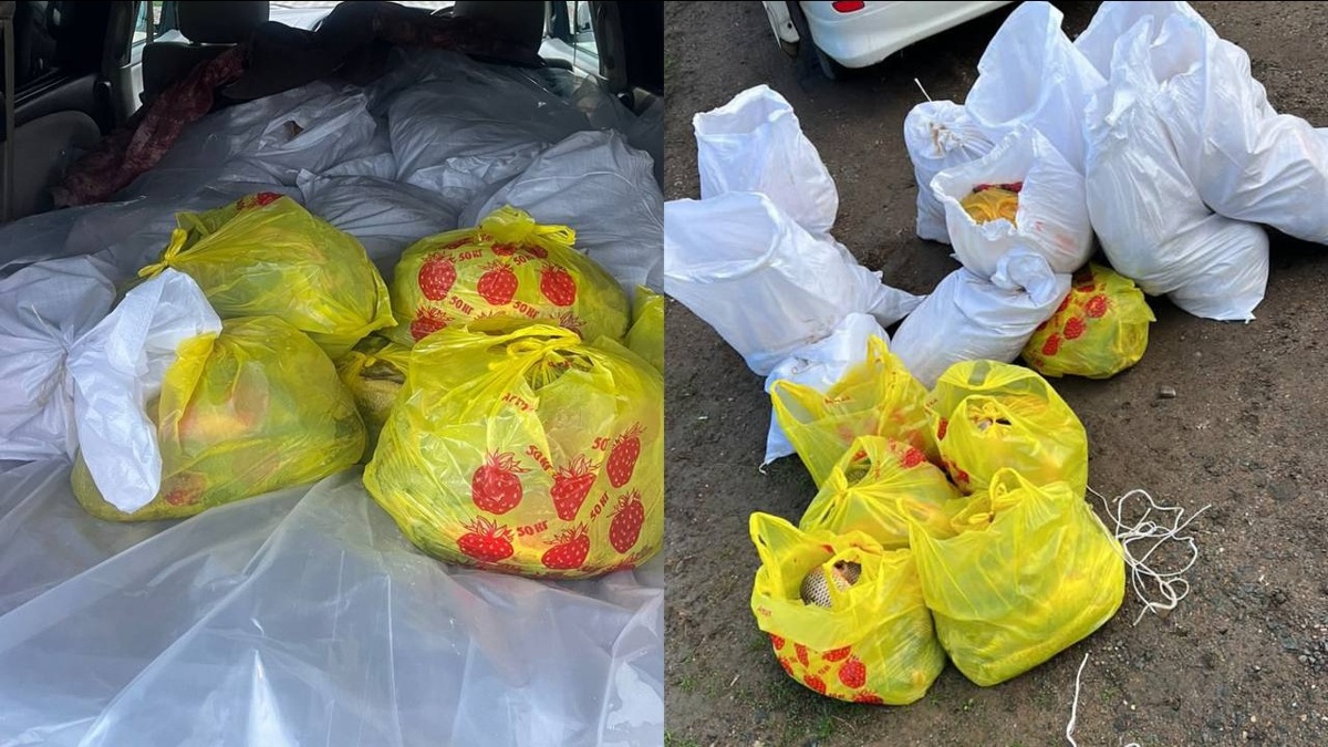 БҚО-да заңсыз ауланған 400 келіге жуық балық тәркіленді