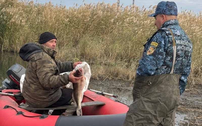 Oblystyq balyq ınspektsııasy