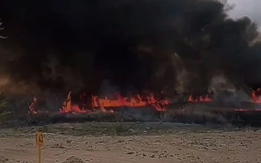 Загоревшийся камыш тушат на площади около 1 гектара в Конаеве