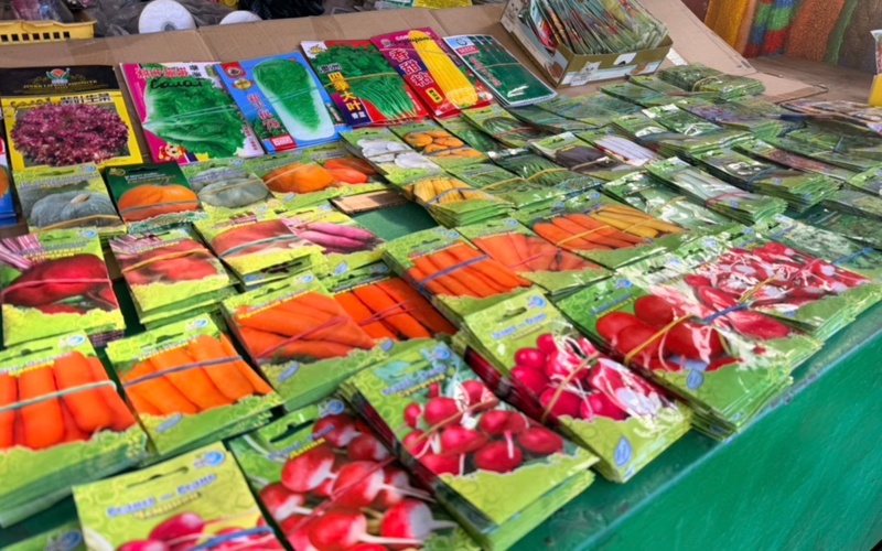 Сколько стоит огород в 2026 году в Костанайской области и есть ли в этом выгода семена, рассада