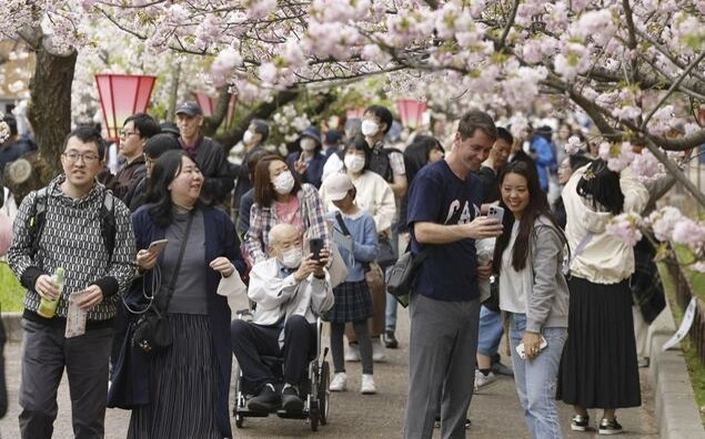 Cherry blossom viewing starts at Japan Mint in Osaka