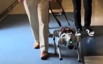 Ғалымдар зағип жандарға арналған сөйлейтін жетекші робот жасап шығарды