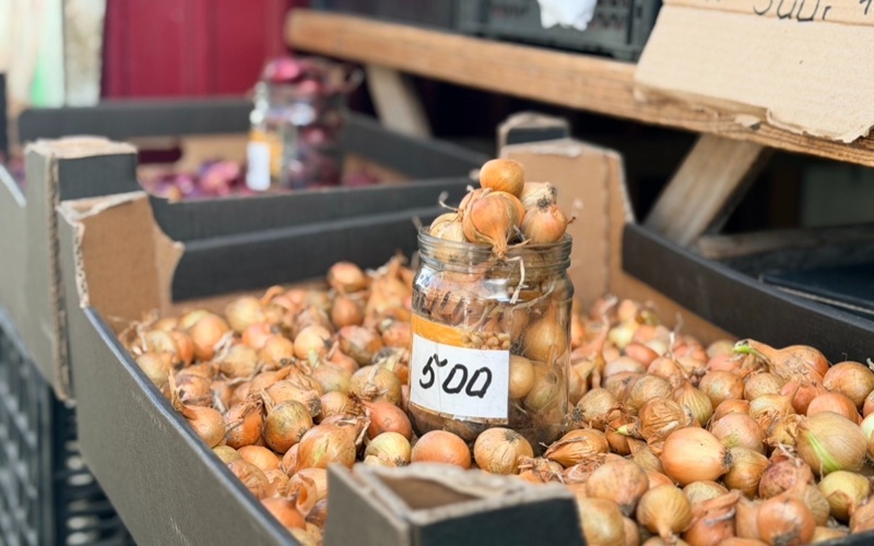 Сколько стоит огород в 2026 году в Костанайской области и есть ли в этом выгода лук, овощи