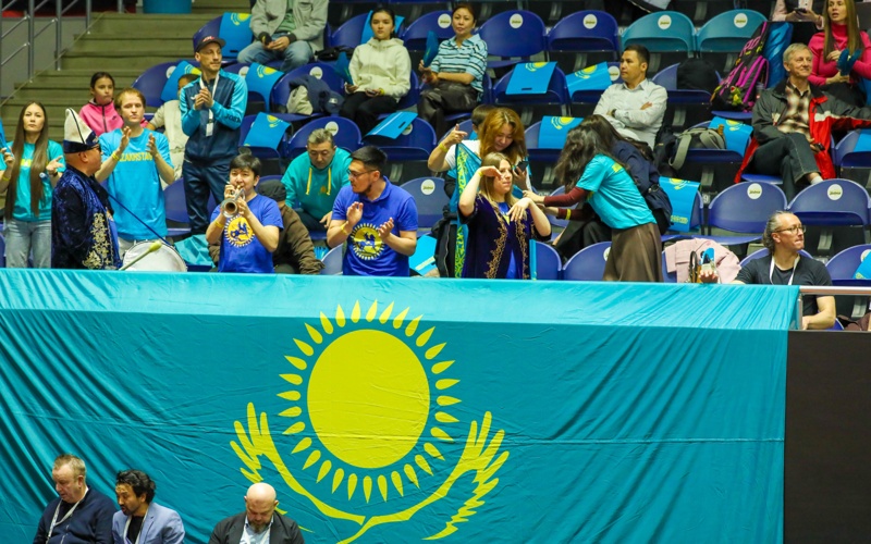 Кубок Билли Джин Кинга