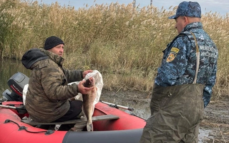 Временный запрет на рыбную ловлю: что изменится в этом году