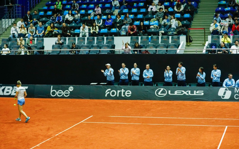 Кубок Билли Джин Кинга