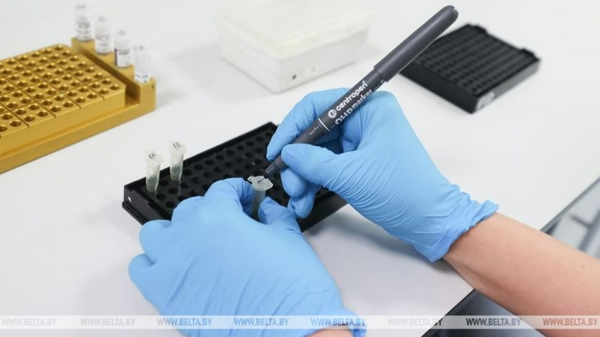 Беларусь ғалымдары қатерлі ісікті емдеудің жаңа тәсілін ұсынды