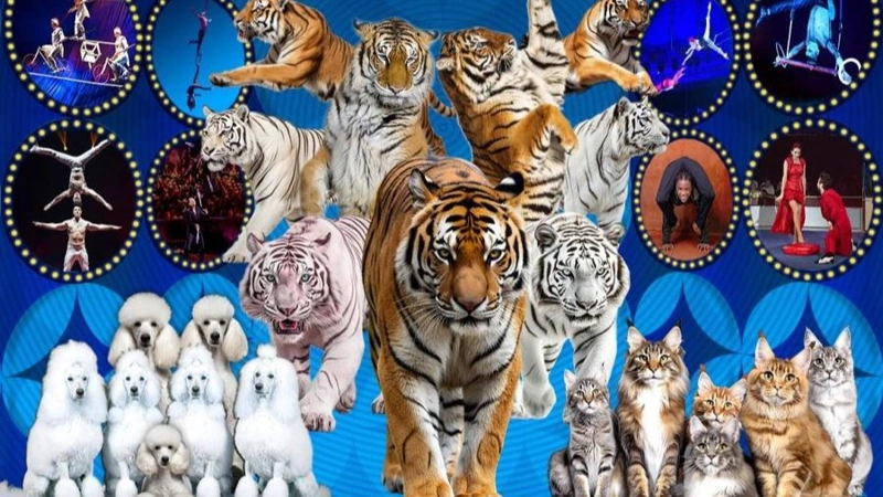 World Circus in Mongolia 2026 show to open soon 